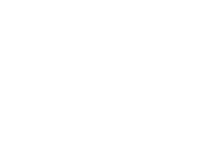 Founders-Edge-Consulting-logo-white